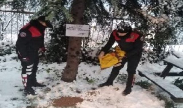 Emniyet ekipleri sokak hayvanlarını unutmadı