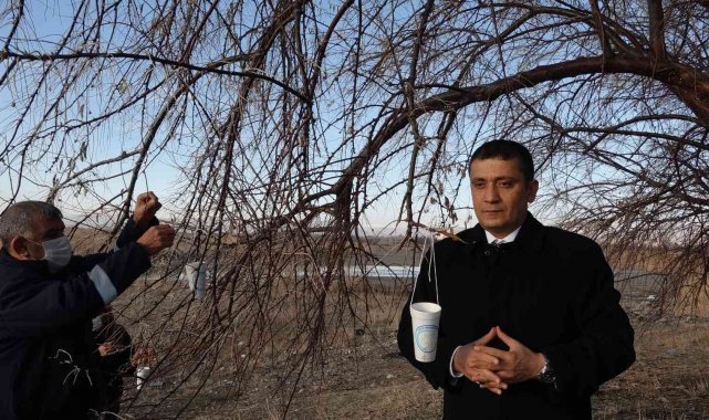 Erciş'te sokak ve yaban hayvanları için yem bırakıldı