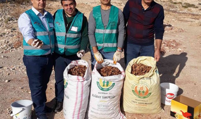 Ermenek'te adliye çalışanları dik yamaçlara tohum serpti
