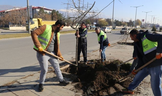 Erzincan'da ağaçlandırma çalışmaları devam ediyor