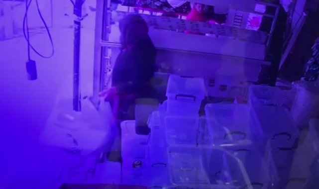 Esenyurt&#039;ta terlik ve kova çalan kadın kameralara yansıdı