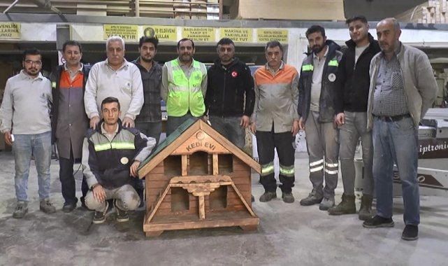 Eski kamelyalardan kedi evi yapıyorlar