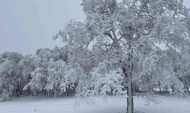 Eskişehir'den kartpostallık kış fotoğrafları