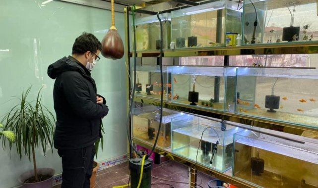 Ev ve süs hayvanı satış yerleri denetlendi