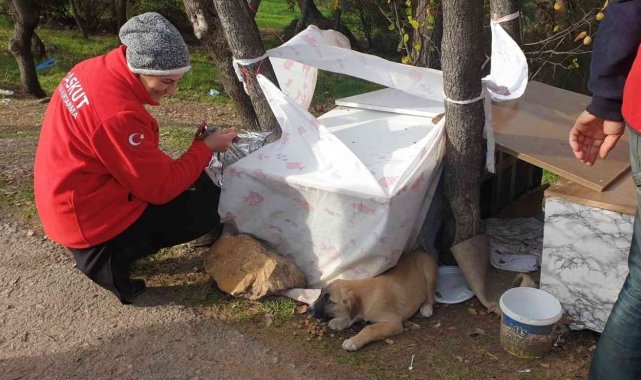 Fabrika atıkları can dostlarına yuva oluyor