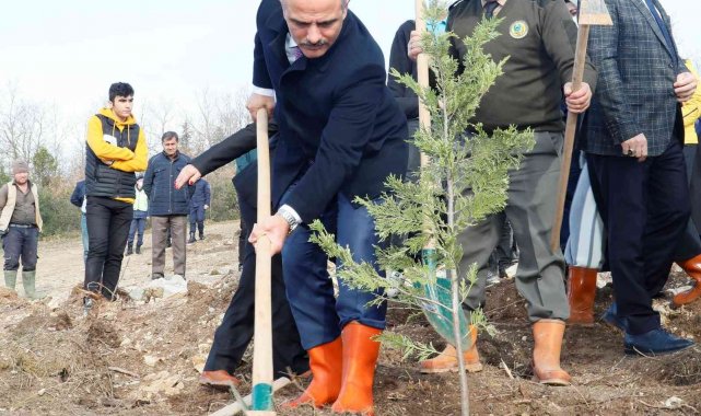Fidanlar Alaaddin öğretmen için dikildi
