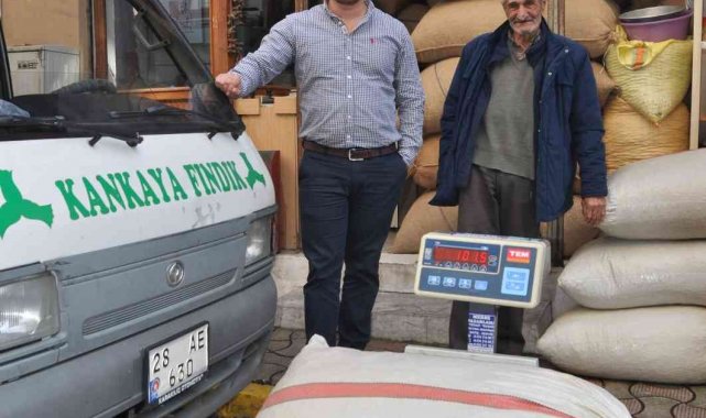 Fındık fiyatı rekor üstüne rekor kırıyor