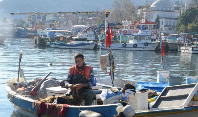 Fırtına balıkçıları vurdu, fiyatlar ikiye katlandı: Hamsi 35 lira