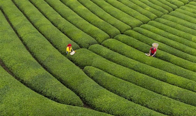 Fotono21 Fotoğraf Derneği Dünya Kupası Fotoğraf Yarışmasında