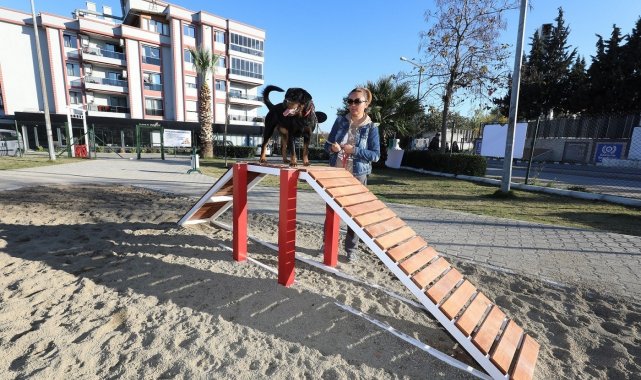 Gaziemir'de köpeklere özel park açıldı