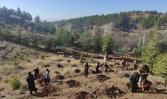 Gençler yüzlerce fidanı toprakla buluşturdu