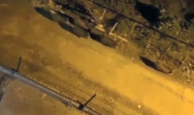 Giresun'da aç kalan domuz sürüsü ilçe merkezine indi