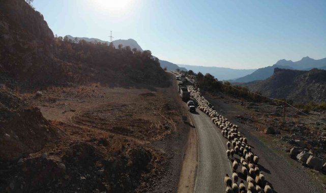 Göçerler, çıktıkları Faraşin'den Cudi Dağına indi