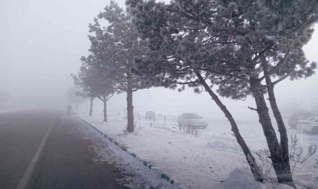 Göle&#039;de soğuk hava ve sis etkili oluyor