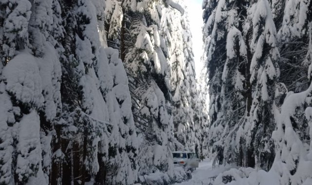 Gördükleri manzara karşısında şaşıp kaldılar