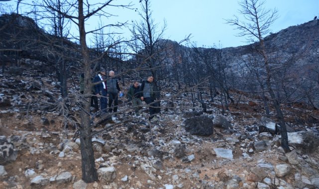 Gülnar'da yanan orman sahaları yeşillendiriliyor
