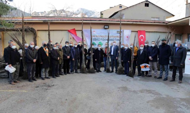 Gümüşhane'de 5 bin 322 adet ceviz fidanı daha toprakla buluştu