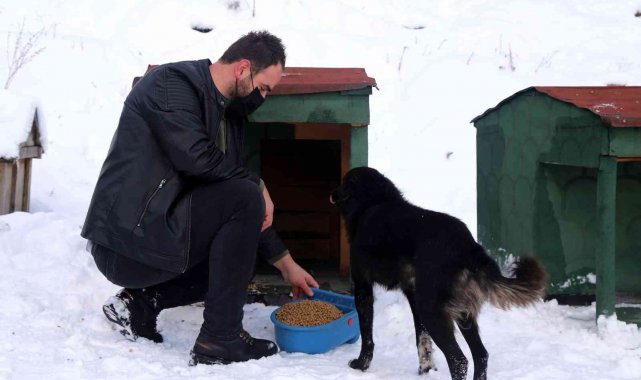 Gümüşhane&#039;de sokak hayvanlarına şefkat eli