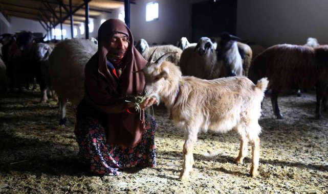 Gümüşhaneli kadınlar bileziklerini bozdurup hayvancılığa yatırım yaptı