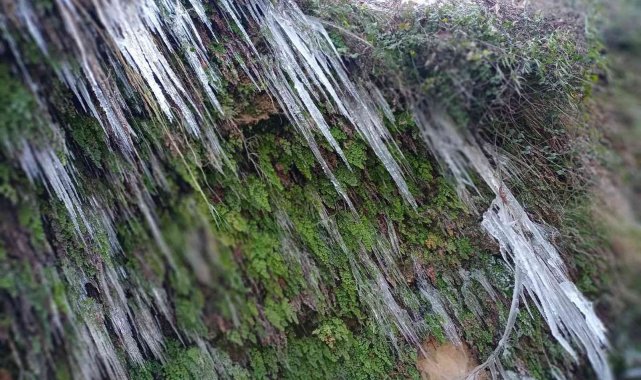 Güney şelalesi buz tuttu