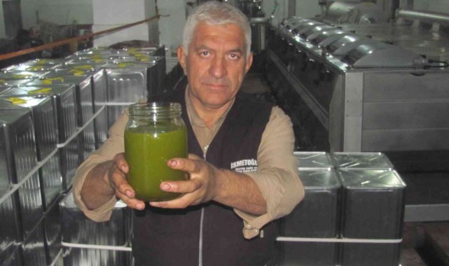 Güneydoğu'nun tahıl ambarı zeytinyağı üretiminde de iddialı