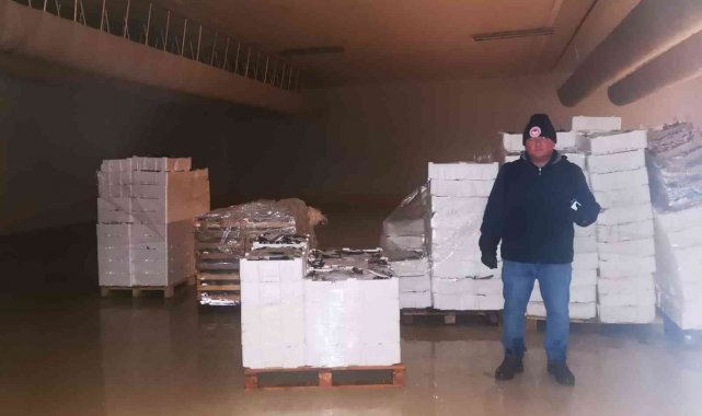 Gürpınar Su Ürünleri Halinde 6 ton balığa el konuldu