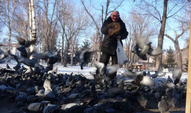 Güvercinleri soğuk günlerde her gün besliyor