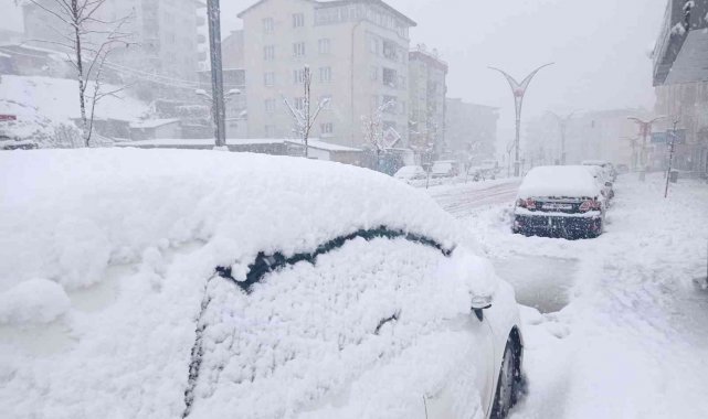 Hakkari'de 179 yerleşim yerinin yolu ulaşıma kapandı