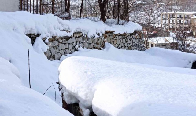 Hakkari&#039;de 196 yerleşim yerinin yolu ulaşıma kapandı
