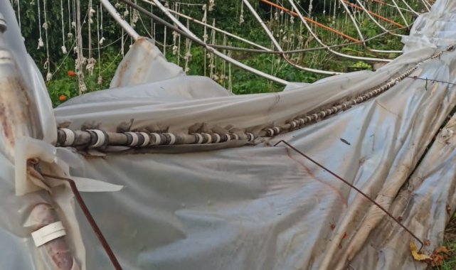 Hakkari'de rüzgar seralara zarar verdi