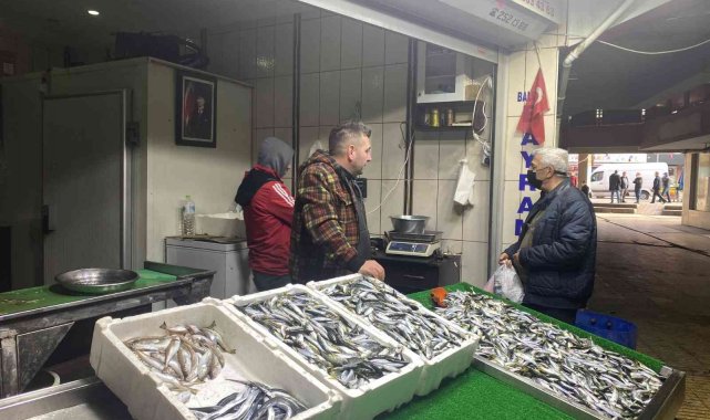 Hamsi ve palamudun yerini istavrit aldı, kilosu 25 liradan alıcı buldu