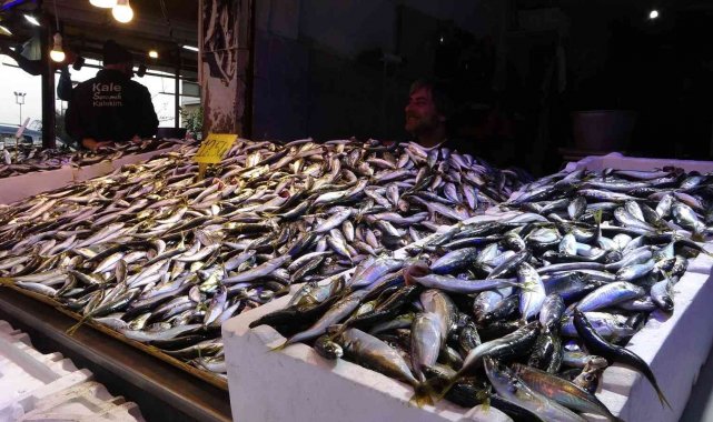 Hamsinin fiyatı tırmanışa geçerek rekor seviyeye ulaştı