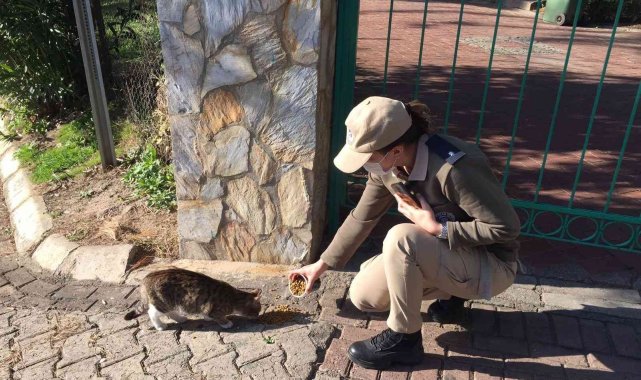 HAYDİ ekipleri sokak hayvanlarını unutmadı