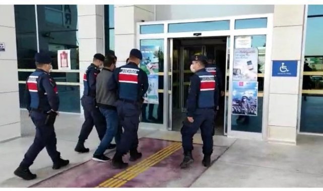 Hayvan satma vaadiyle 243 bin liralık dolandırıcılık yapan şahıslar yakalandı