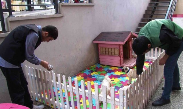 Hayvan sevgisi engel tanımıyor