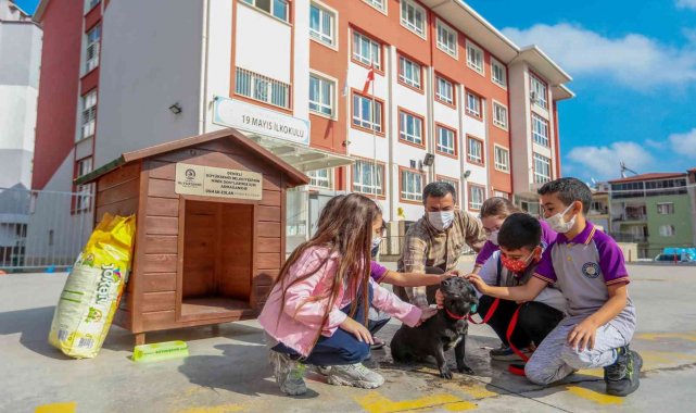 Her okula bir sokak köpeği projesi 25 okula ulaştı