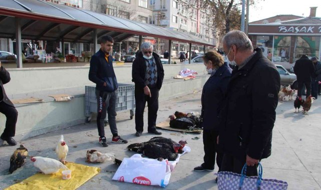 Hindi fiyatları 500 lira olunca vatandaş sorup geçiyor