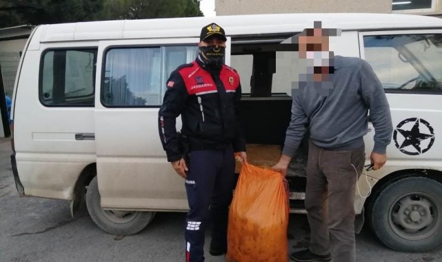 Hırsızlıktan aranan şahıslar zeytin çalarken yakalandı