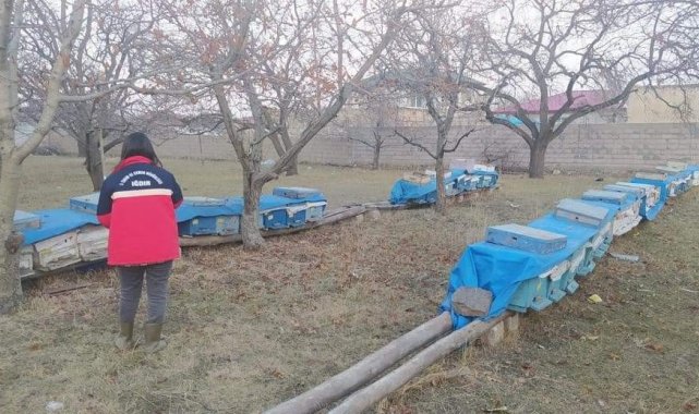 Iğdır'da arılı kovan desteklemeleri