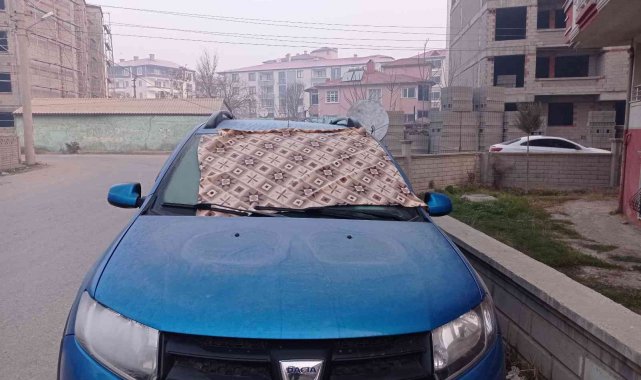 Iğdır'da soğuk hava ve sis etkili oluyor