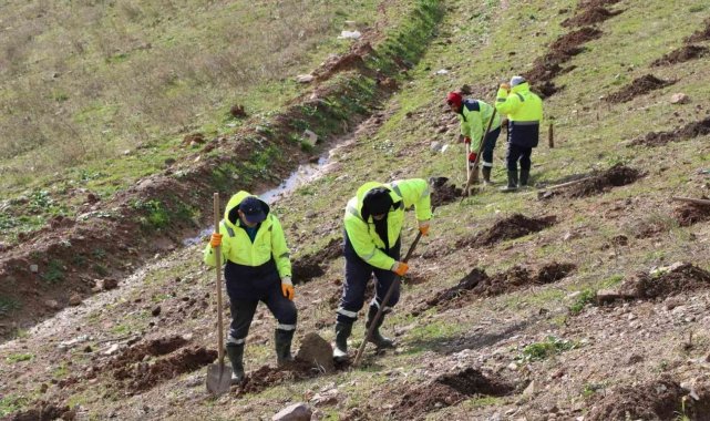 İlimtepe dolgu alanına 20 bin fidan