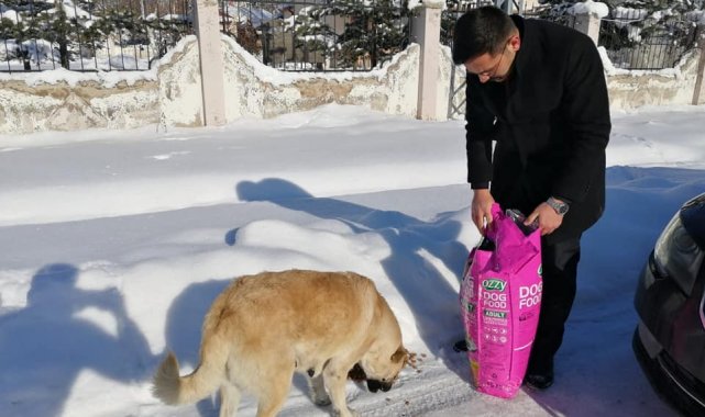 İmranlı'da sokak hayvanları için yem bırakıldı