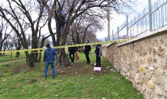 İpten alıp kalp masajıyla hayata tutundurdular