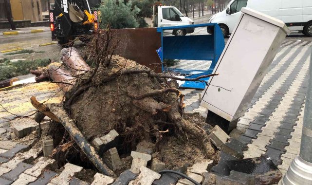 Isparta'da etkili yağış sonrası rögar kapakları taştı