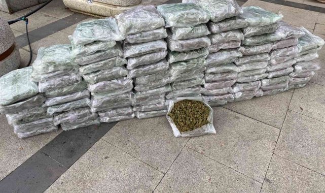 İstanbul&#039;da uyuşturucu operasyonları