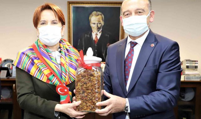 İYİ Parti Genel Başkanı Akşener Başkan Akın'la görüştü