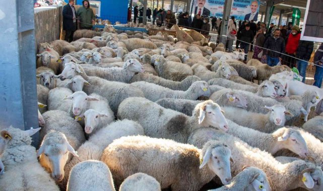 İzmir Büyükşehir Belediyesinden üreticiye destek