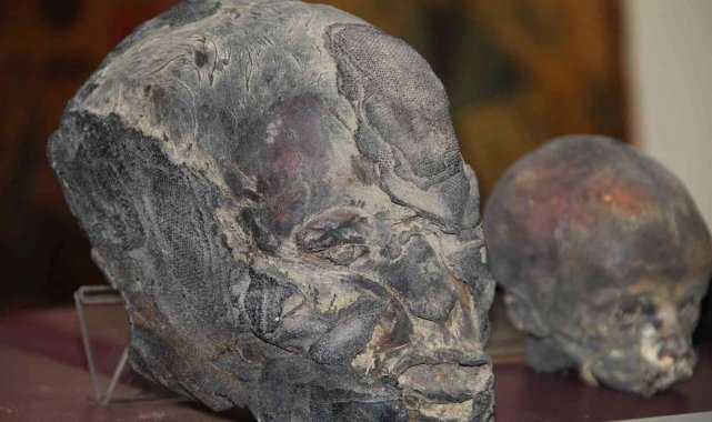 İzmir'de Jivaro yerlilerinin kesip özel işlemlerden geçirdiği insan kafatasları ele geçirildi