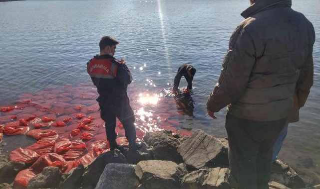 İzmir'de kaçak su ürünleri avcılığı yapan kişi suçüstü yakalandı
