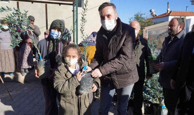 İzmit&#039;in dönüştürülen atıkları, Milas&#039;ta zeytin fidanı olarak toprakla buluştu